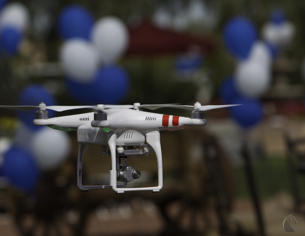 Kids Day on an Arabian Horse Farm