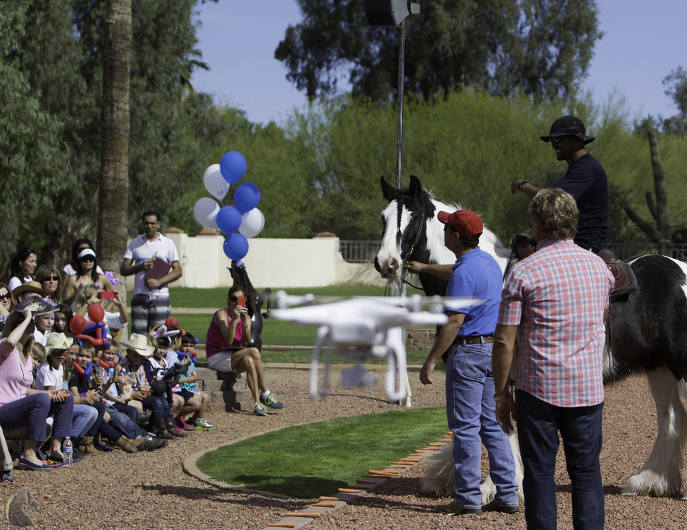 Kids Day on an Arabian Horse Farm