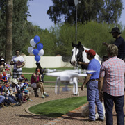 Kids Day on an Arabian Horse Farm
