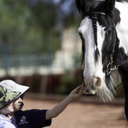 Kids Day on an Arabian Horse Farm