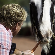 Kids Day on an Arabian Horse Farm