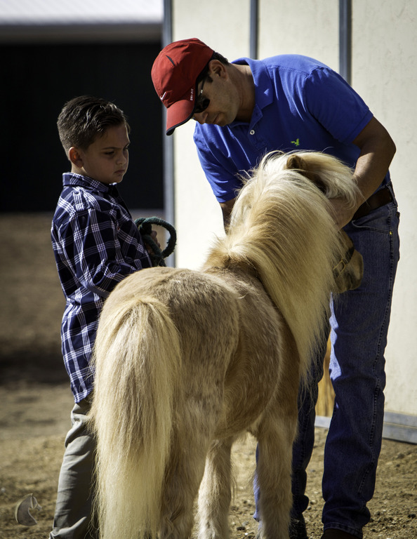 Kids Day on an Arabian Horse Farm