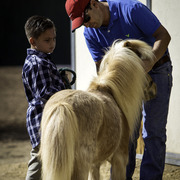 Kids Day on an Arabian Horse Farm