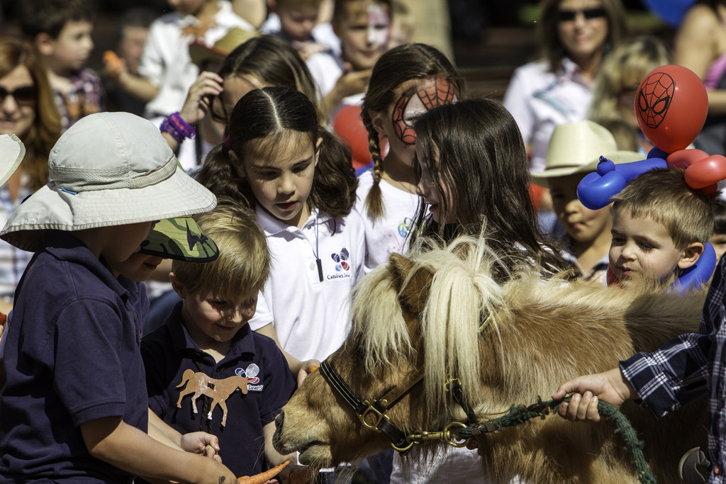 Kids Day on an Arabian Horse Farm