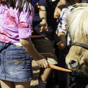 Kids Day on an Arabian Horse Farm
