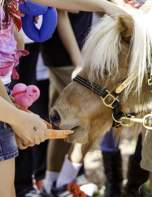Kids Day on an Arabian Horse Farm