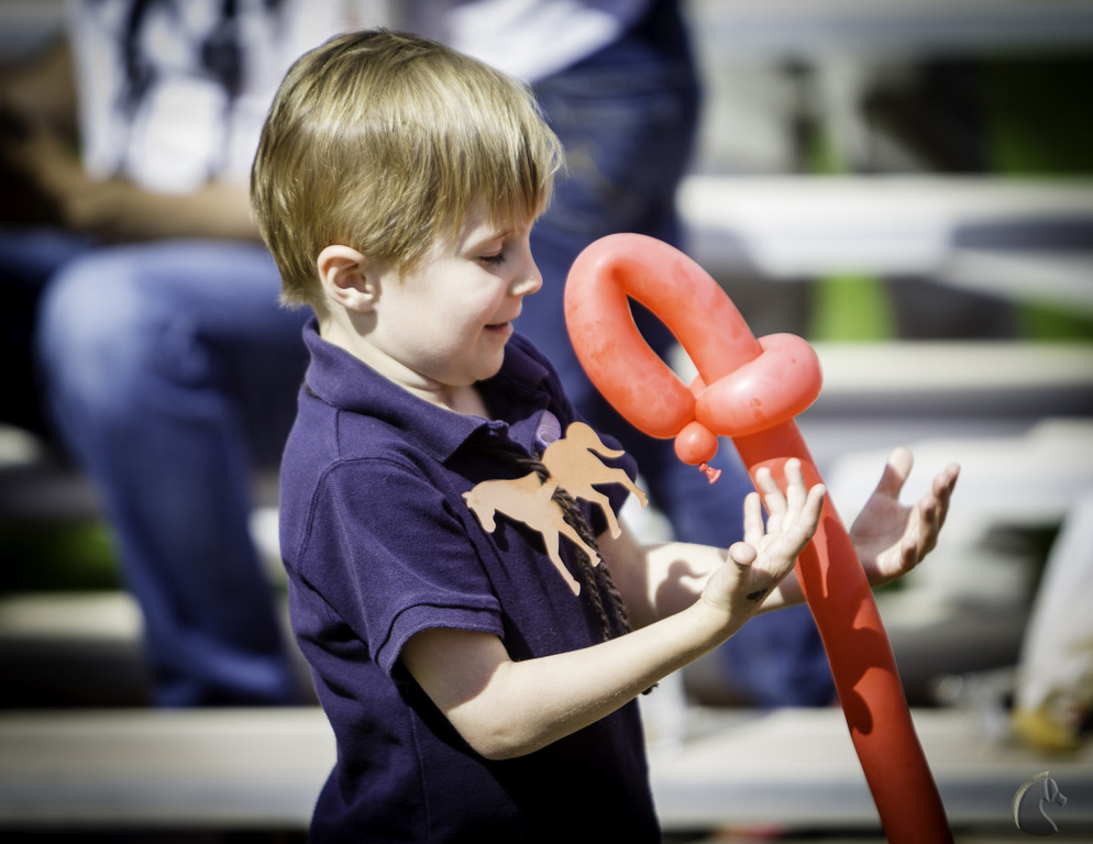 Kids Day on an Arabian Horse Farm