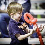 Kids Day on an Arabian Horse Farm