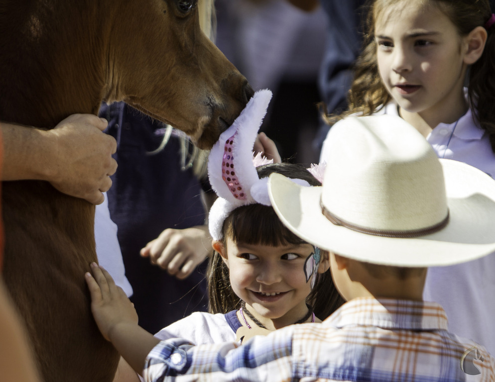 Kids Day on an Arabian Horse Farm