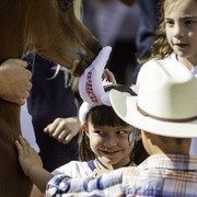 Kids Day on an Arabian Horse Farm