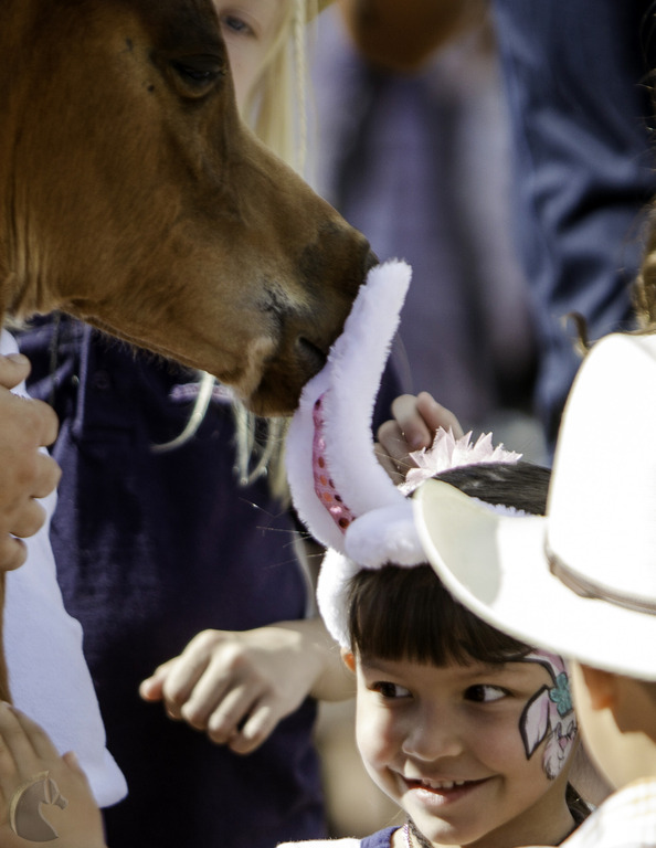 Kids Day on an Arabian Horse Farm
