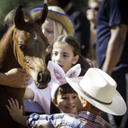 Kids Day on an Arabian Horse Farm