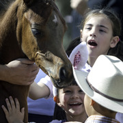 Kids Day on an Arabian Horse Farm