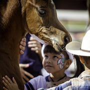 Kids Day on an Arabian Horse Farm