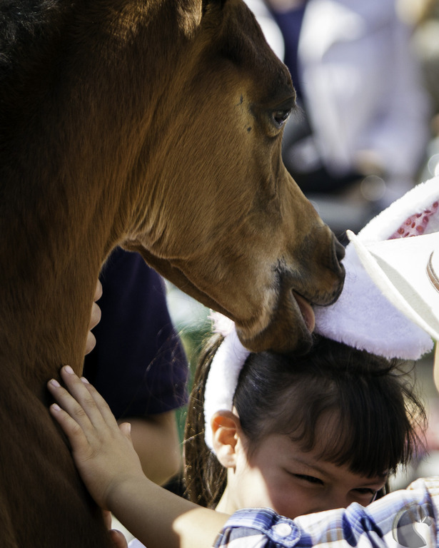 Kids Day on an Arabian Horse Farm