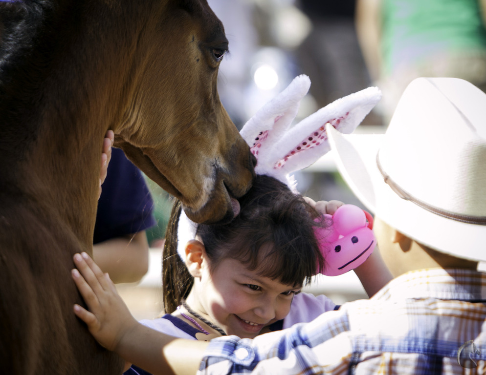 Kids Day on an Arabian Horse Farm