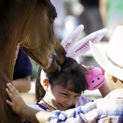 Kids Day on an Arabian Horse Farm