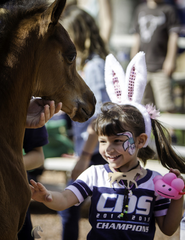 Kids Day on an Arabian Horse Farm