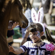 Kids Day on an Arabian Horse Farm