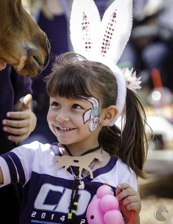 Kids Day on an Arabian Horse Farm