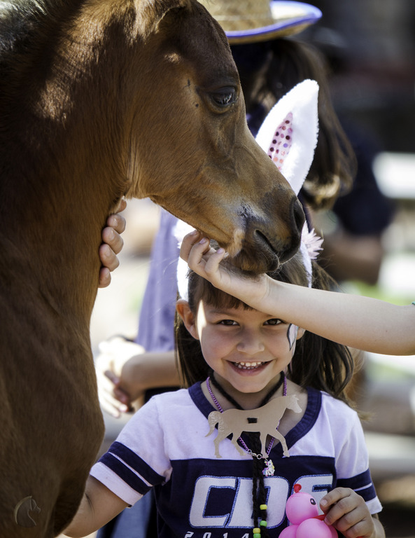 Kids Day on an Arabian Horse Farm