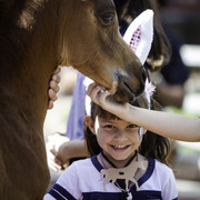 Kids Day on an Arabian Horse Farm
