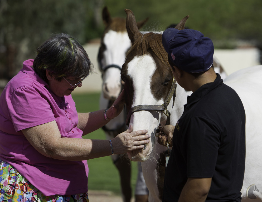 Kids Day on an Arabian Horse Farm