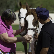 Kids Day on an Arabian Horse Farm