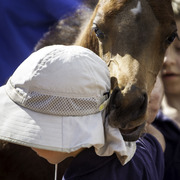 Kids Day on an Arabian Horse Farm