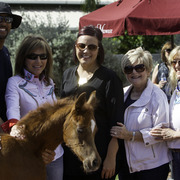 Kids Day on an Arabian Horse Farm