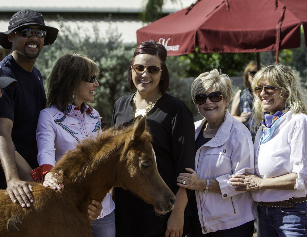 Kids Day on an Arabian Horse Farm