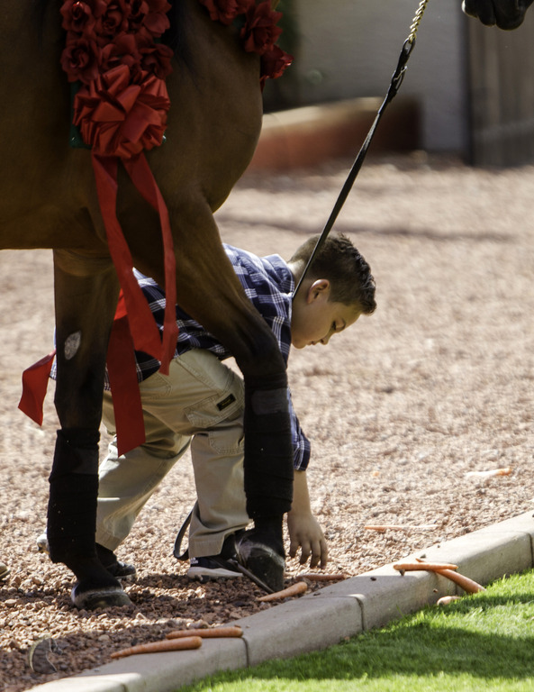 Kids Day on an Arabian Horse Farm