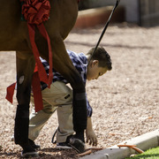 Kids Day on an Arabian Horse Farm