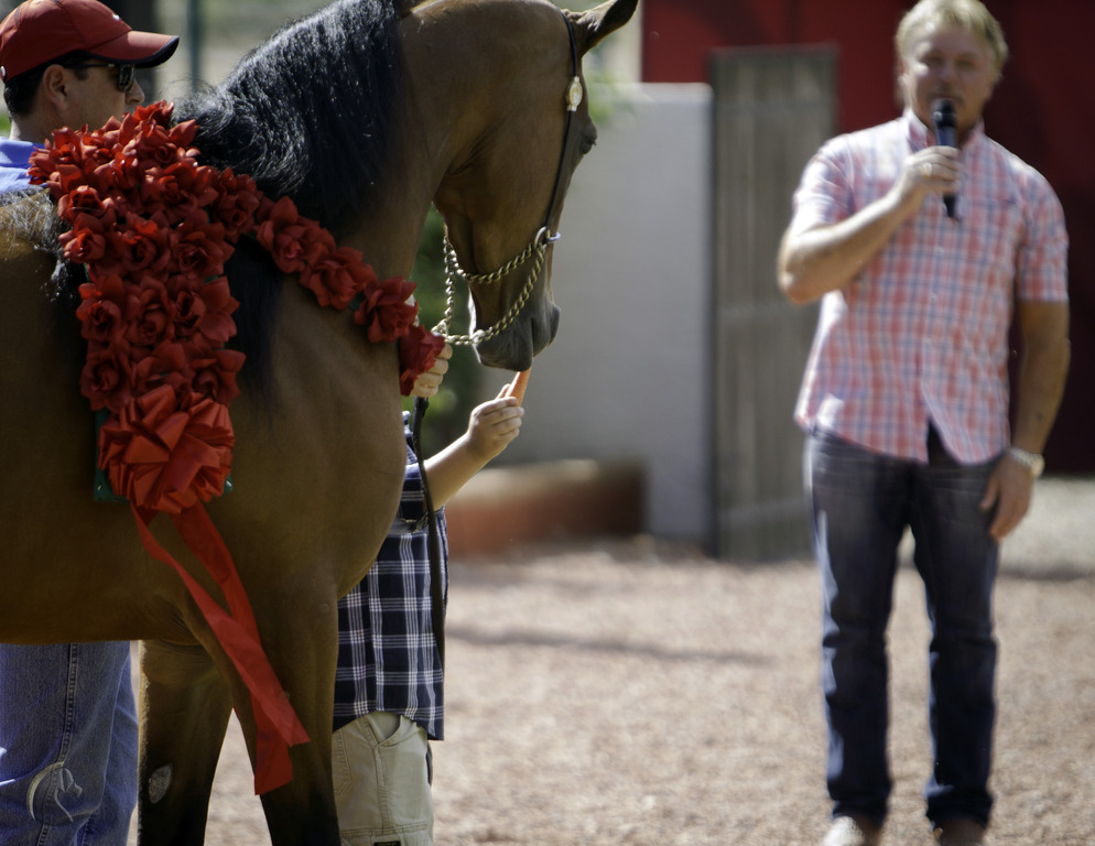 Kids Day on an Arabian Horse Farm