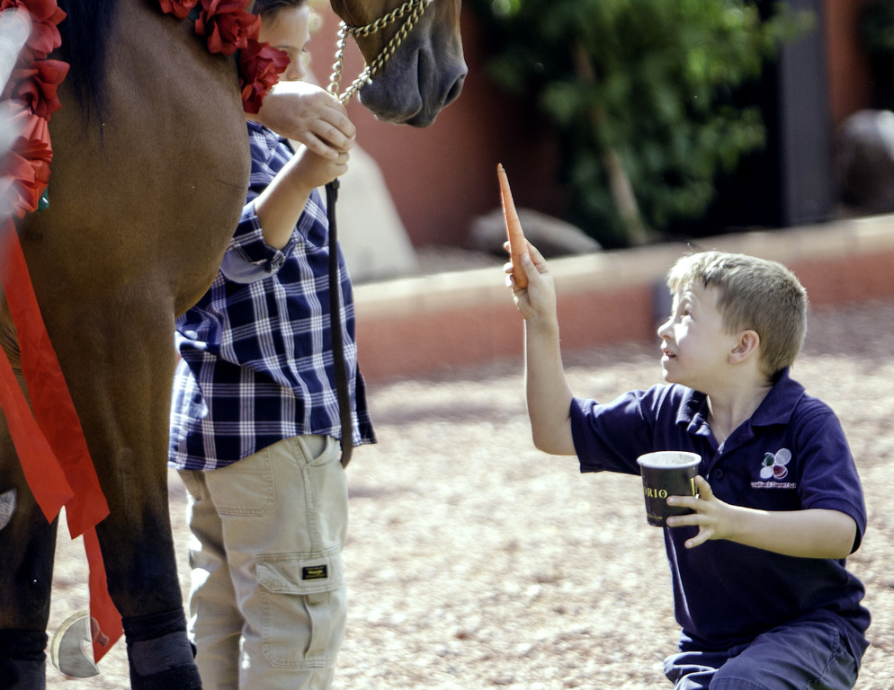Kids Day on an Arabian Horse Farm