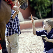 Kids Day on an Arabian Horse Farm