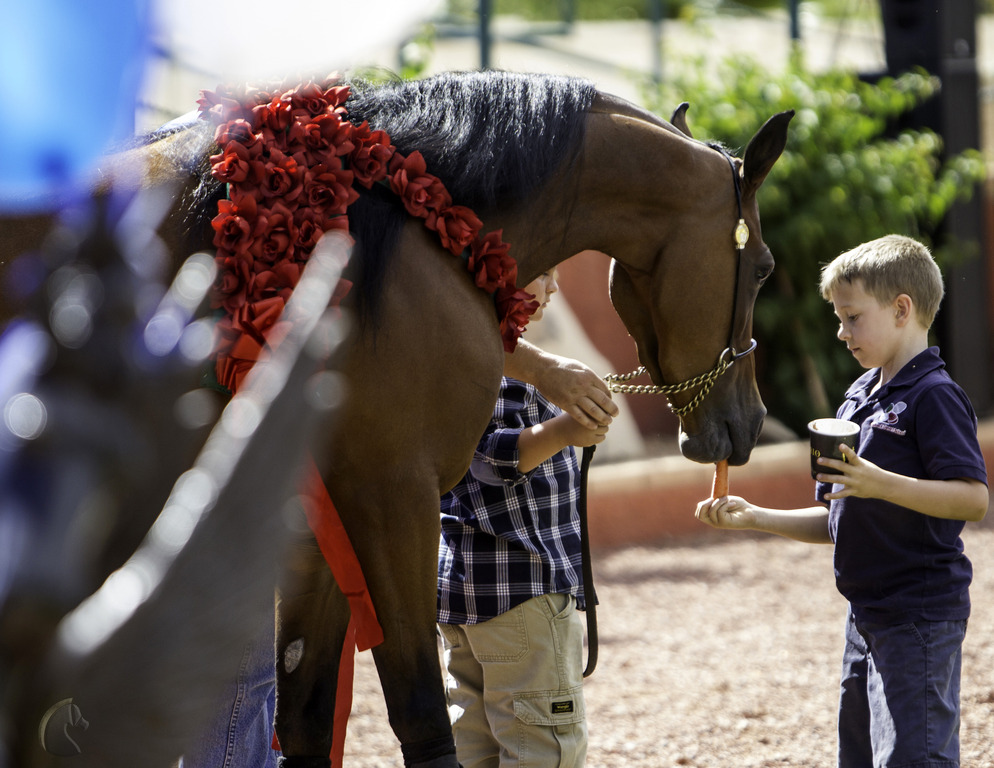 Kids Day on an Arabian Horse Farm