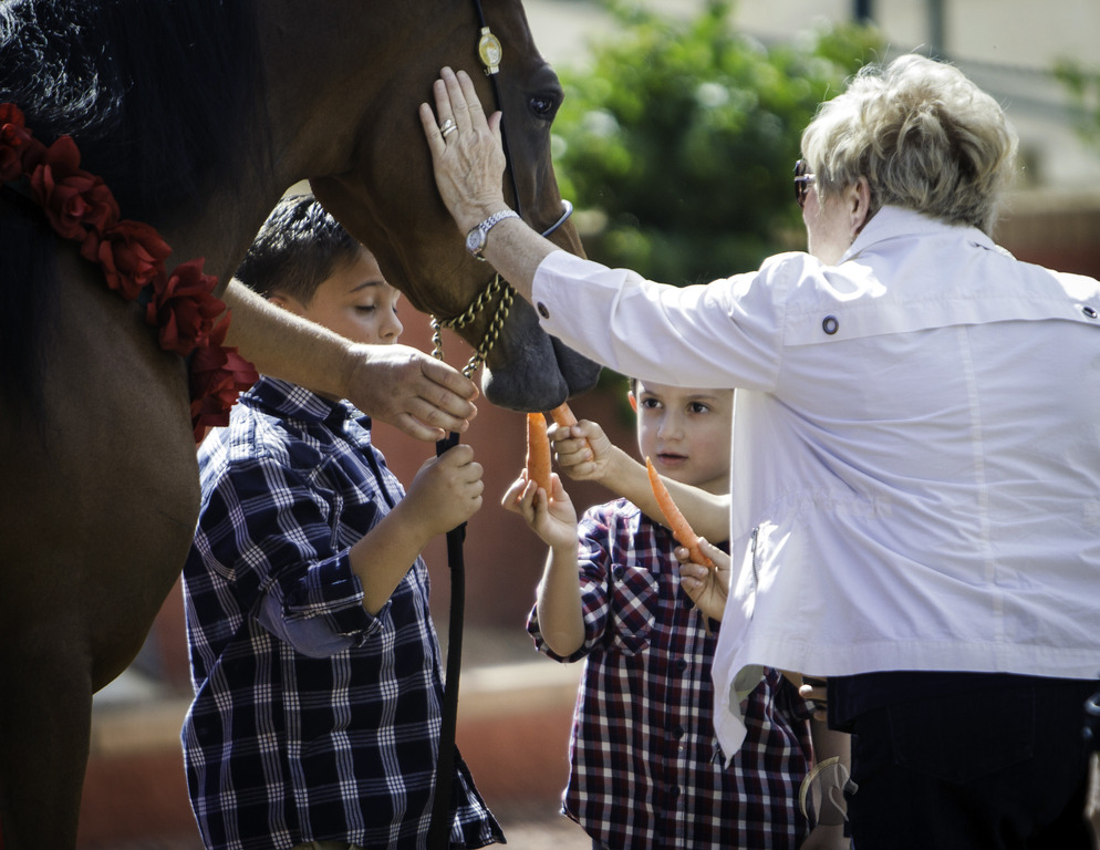 Kids Day on an Arabian Horse Farm
