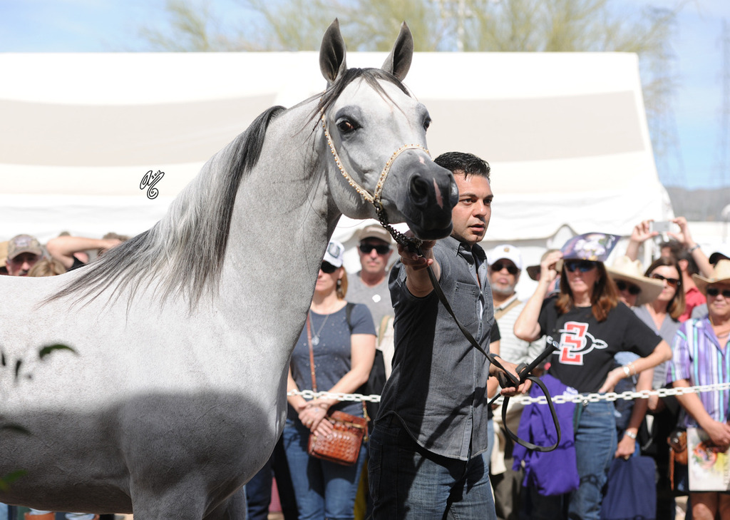 The Rohara Barn Party