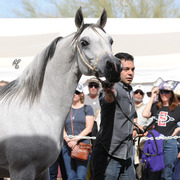 The Rohara Barn Party