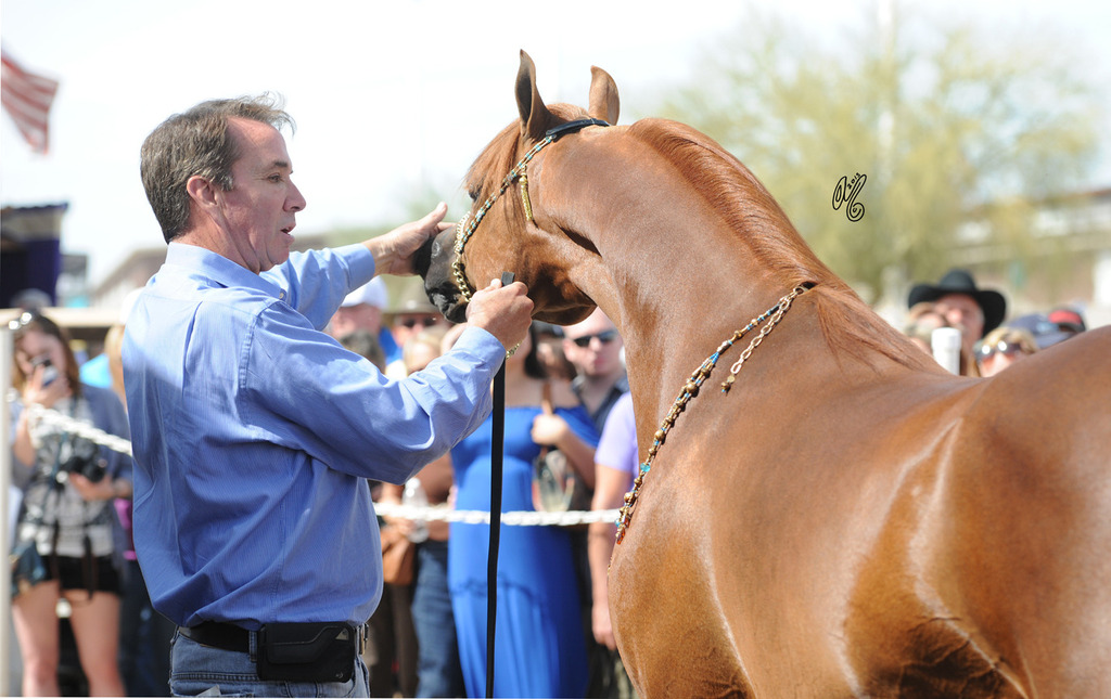 John Rannenberg presenting Montana Firenze at the Rohara Barn Party