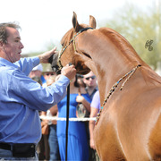 John Rannenberg presenting Montana Firenze at the Rohara Barn Party