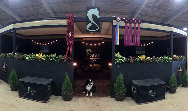 Sage Performance Horses