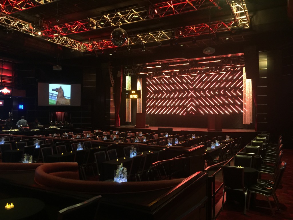 IntArah Dream Embryo Gallery