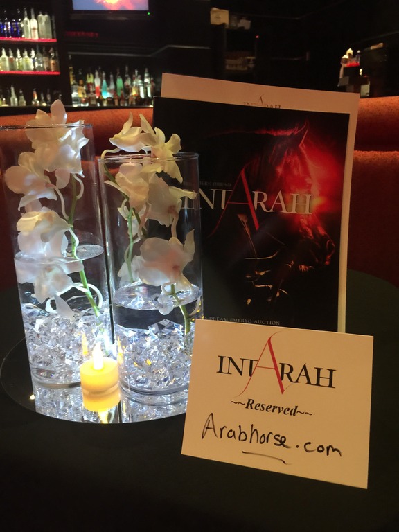 IntArah Dream Embryo Gallery