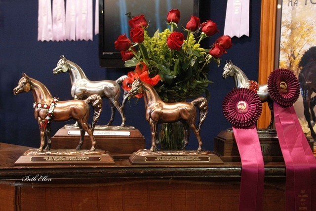 2011 US Nationals News & Reviews, Sunday