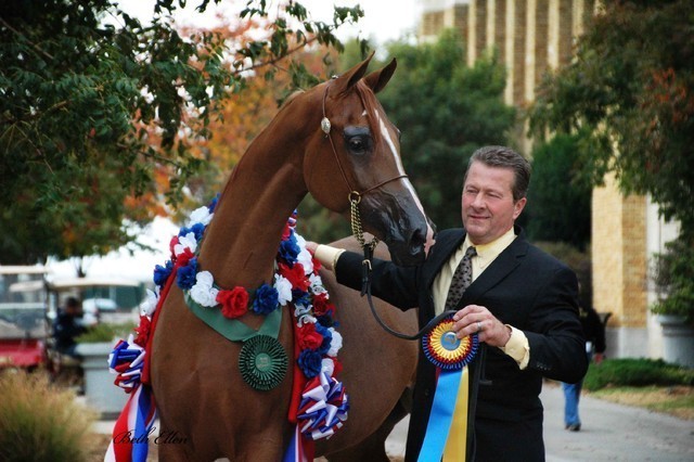 2011 US Nationals News & Reviews, Sunday