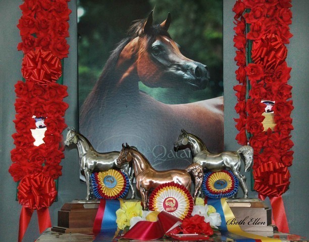 2011 US Nationals News & Reviews, Sunday