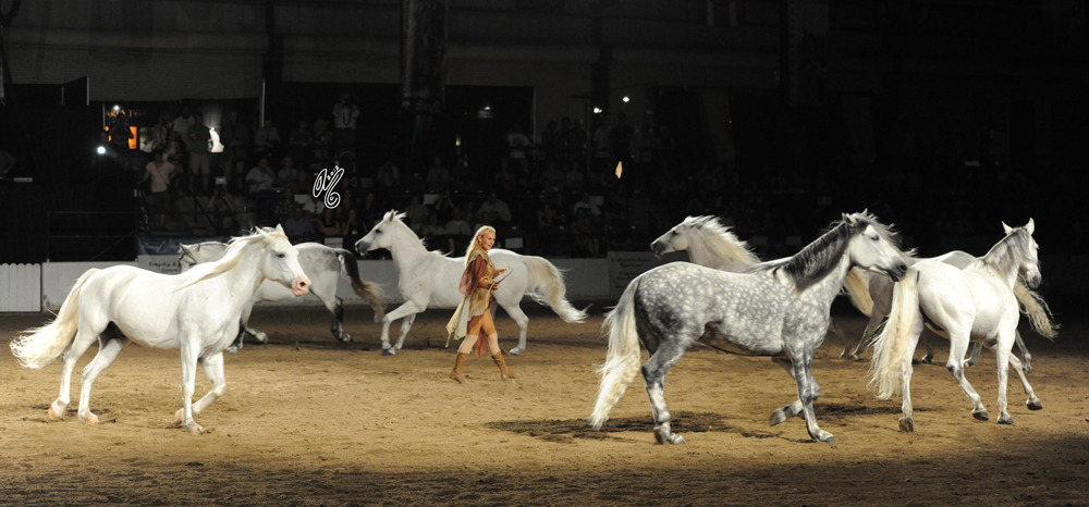 2012: Sylvia Zerbini performing on Championship Night