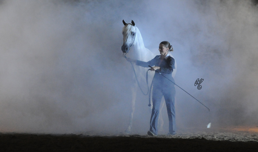 SEE YOU IN LEXINGTON for the 2015 US Egyptian Event: "Stallions: Kings of the Nile"